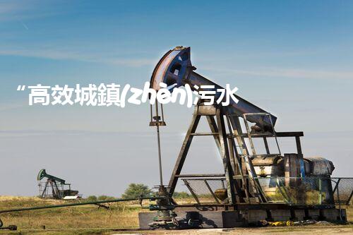 “高效城鎮(zhèn)污水處理流程，守護(hù)碧水藍(lán)天新篇章”